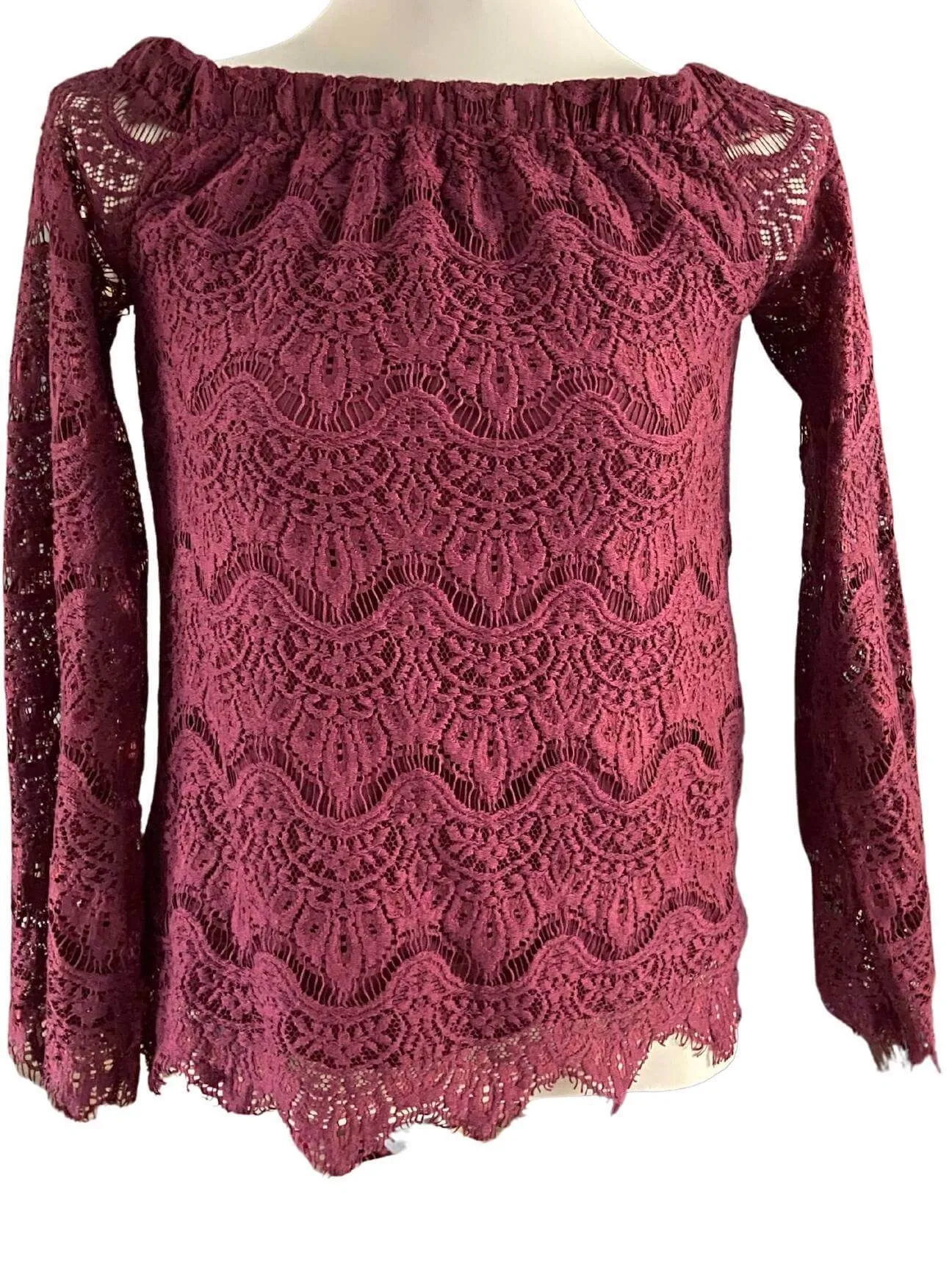 Dark Autumn Wine Lace Blouse